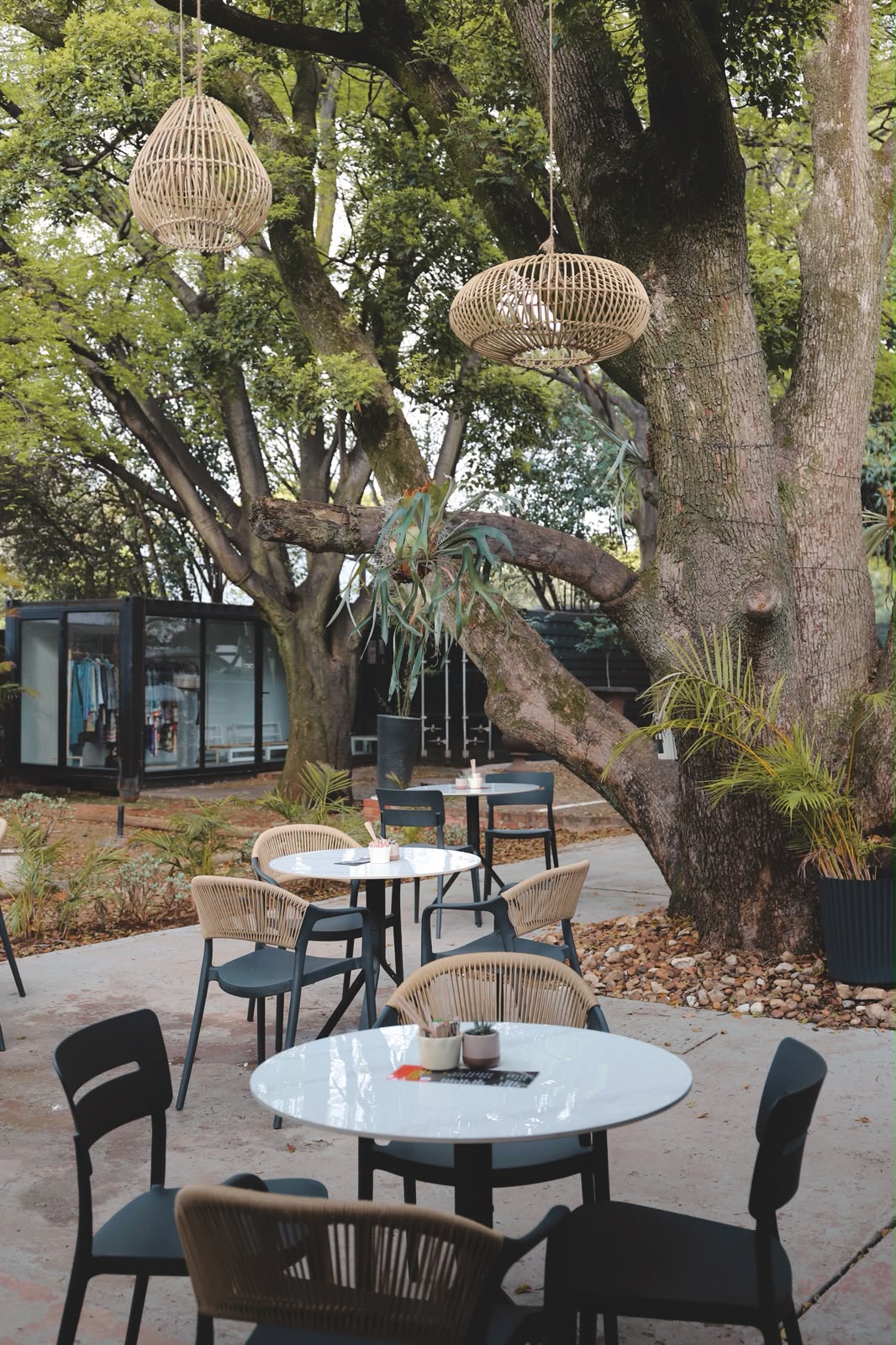 The leafy covered lounge at Gatvol Coffee Pretoria